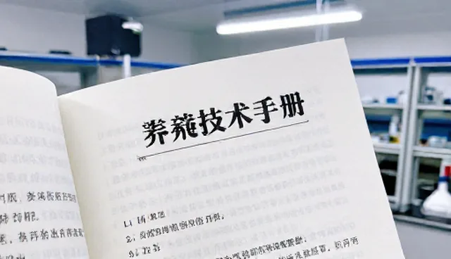 提升养殖基地生产效率的关键能力建设策略